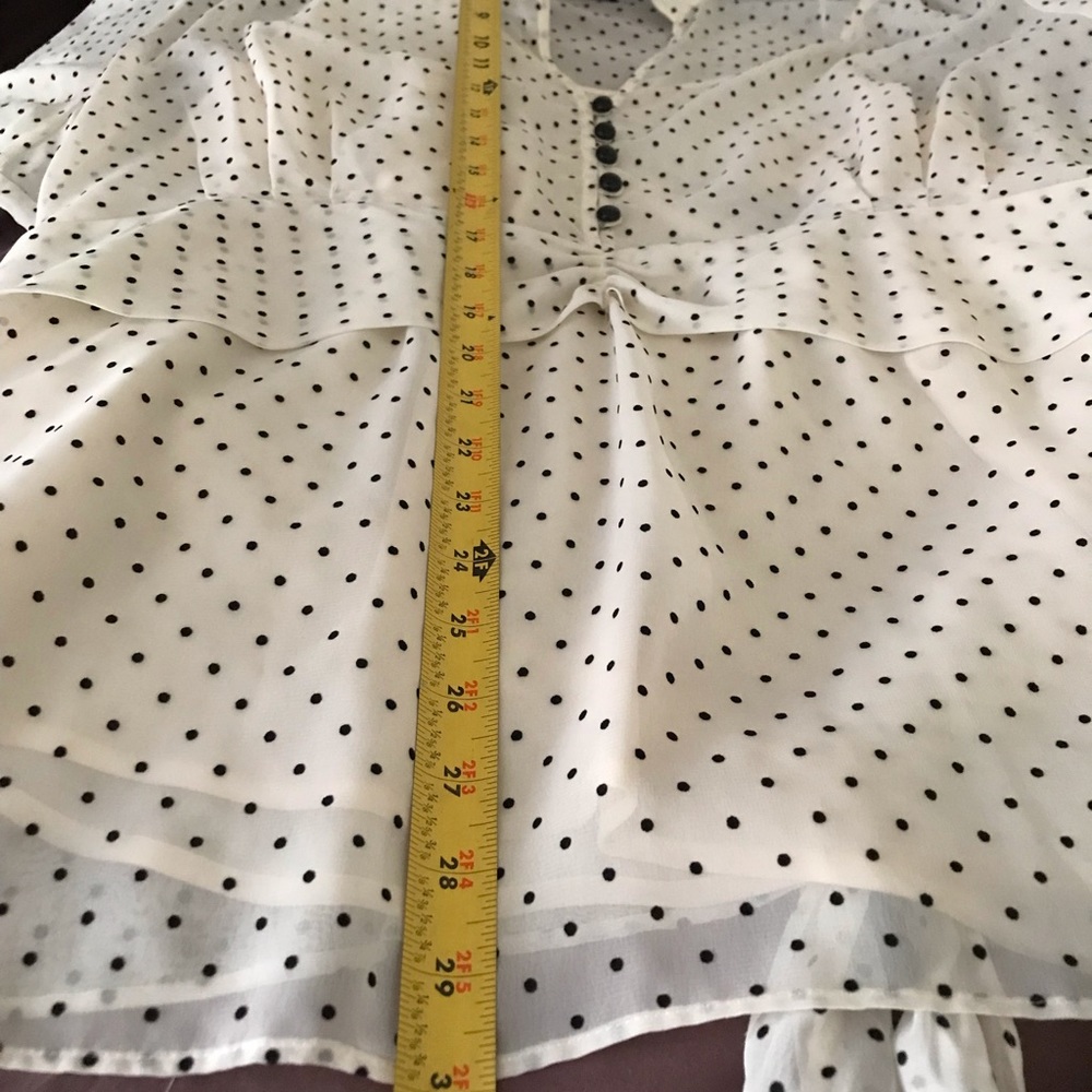 Lane Bryant Sheer Blouse with Under Shell - Picture 7 of 9
